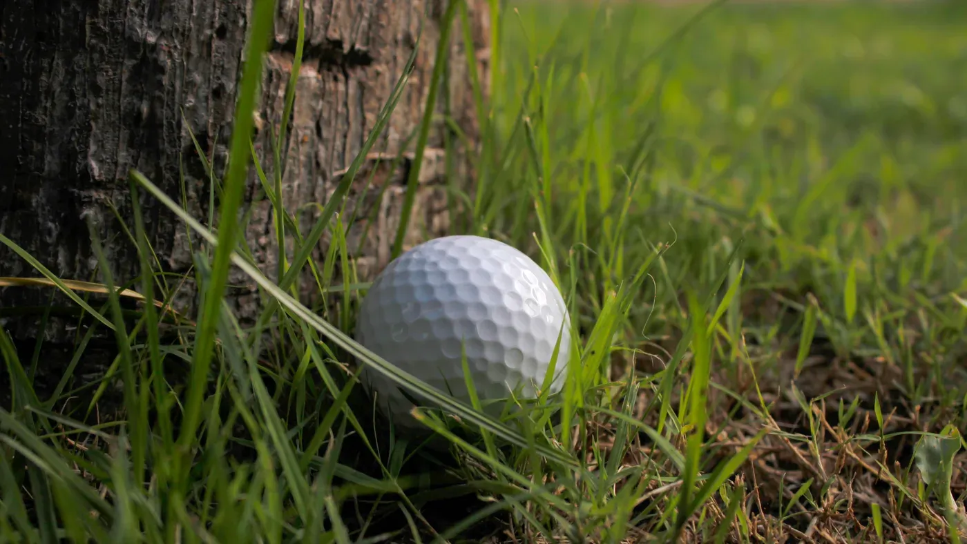Golfboll som ligger i högt gräs intill en trädstam
