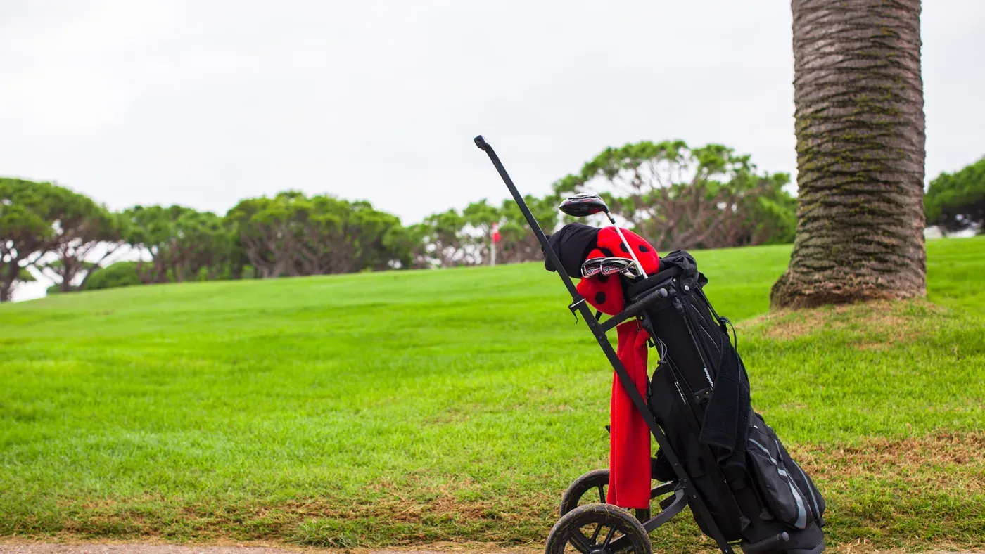Golfbag lastad på vagn intill en palm vid banan